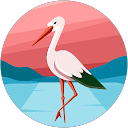 Vesna Vrtaric profile picture